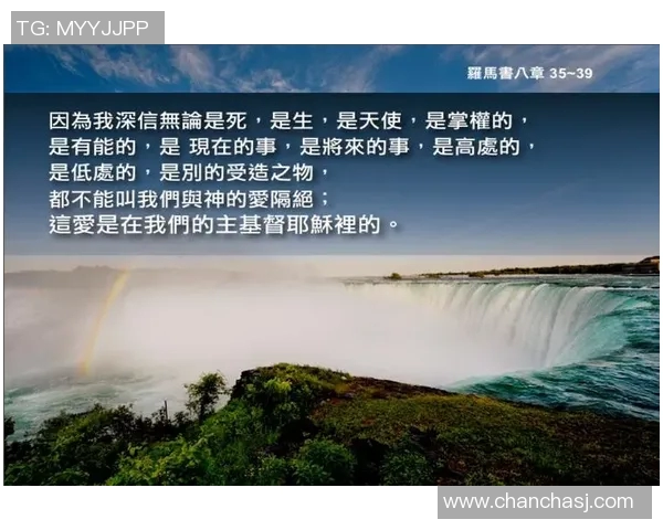 深度对话杨伟探讨排球人生的起伏与梦想追寻
