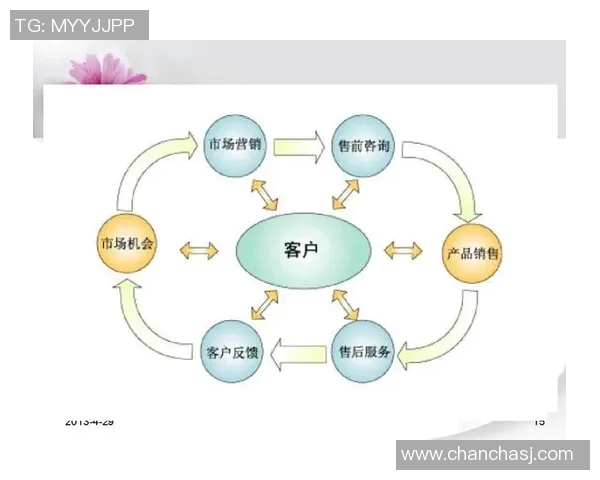 深入分析武汉排球队的运营策略与市场推广模式