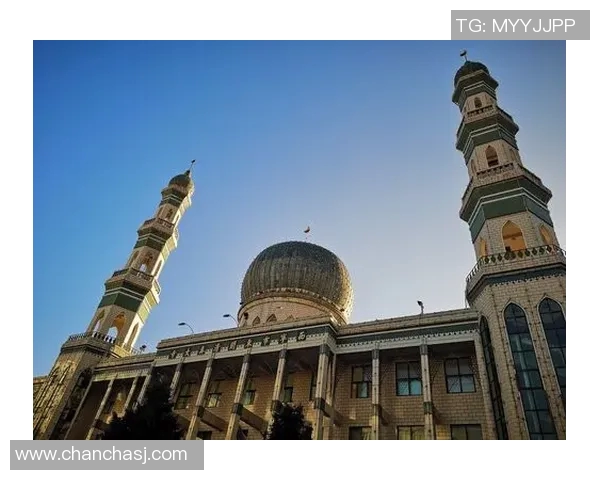 体育实时数据深入探讨张秀英的篮球旅程与人生哲学之路 体育实时数据深入探讨张秀英的篮球旅程与人生哲学之路