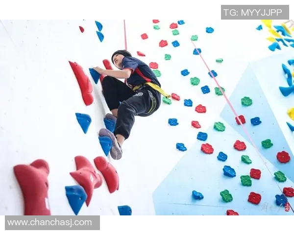 武汉攀岩队在滑板精英赛中的力量展现与技术分析实时数据